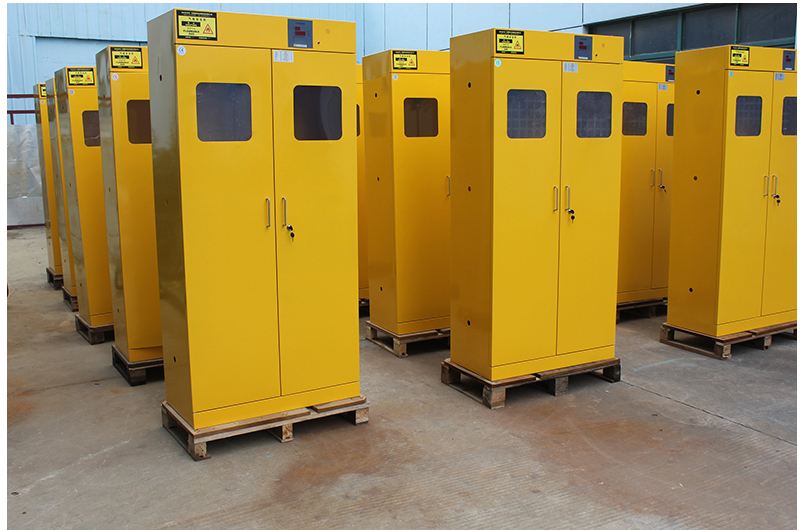 气瓶柜,实验室气瓶柜